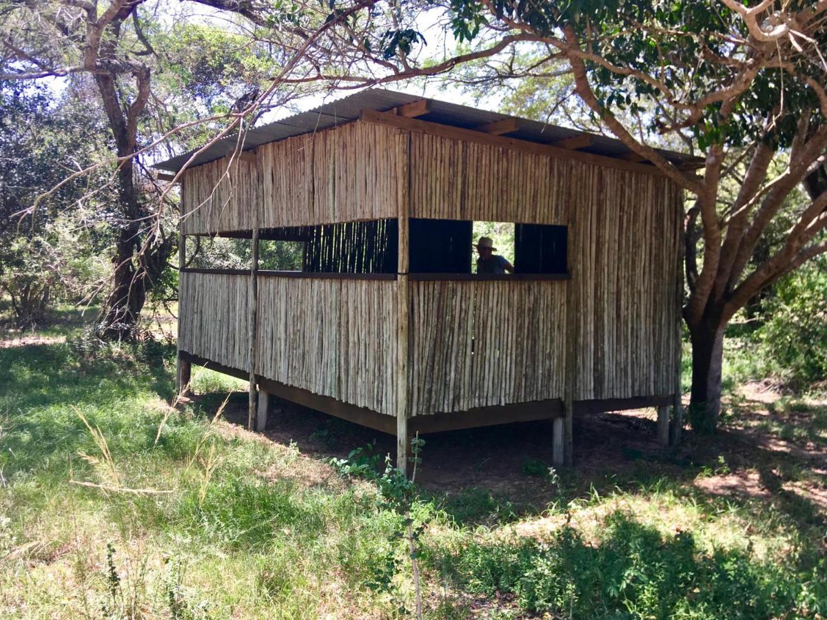 Imani Bush House & Silver Sky Chalet Hluhluwe Exterior foto