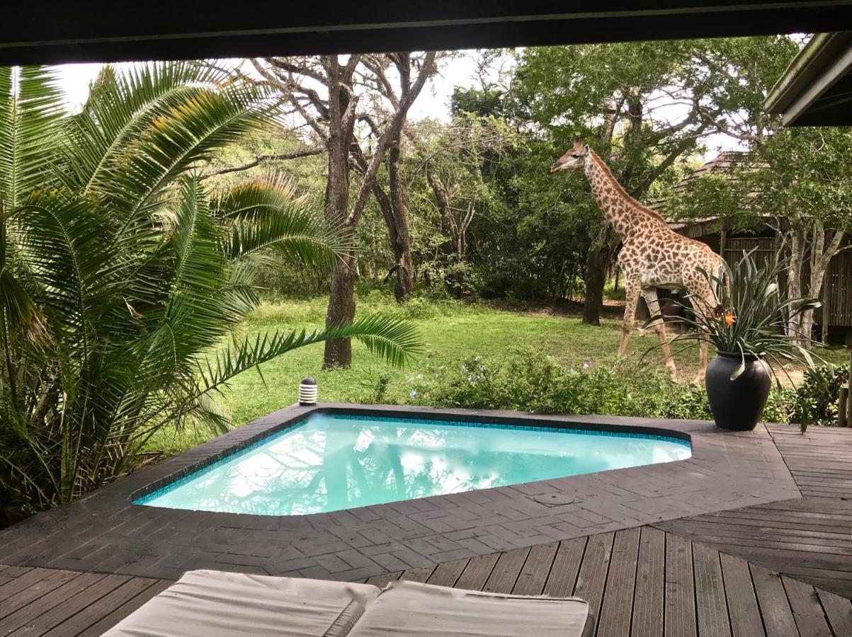 Imani Bush House & Silver Sky Chalet Hluhluwe Exterior foto