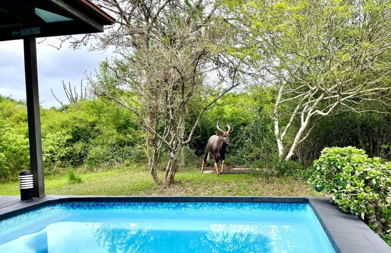 Imani Bush House & Silver Sky Chalet Hluhluwe Exterior foto